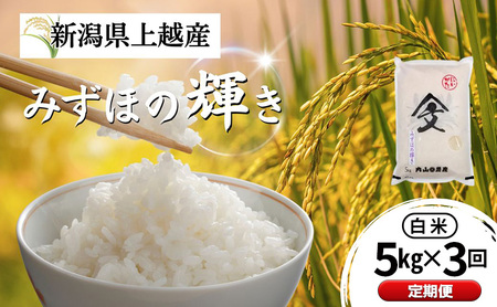 定期便 令和7年産 新潟県上越産 みずほの輝き 白米 5kg×3回配送 内山農産 お米 こめ おすすめ 新潟県産 にいがた 上越