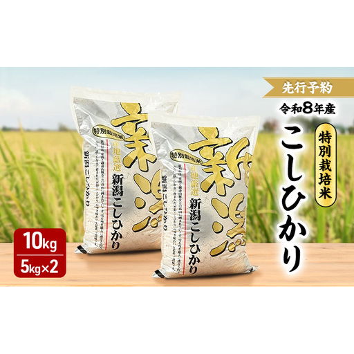 先行予約 令和8年 新潟県産コシヒカリ 特別栽培米 10kg 10キロ(5kg×2) 上越市 三和区神田 富永農産 有機肥料 自家製たい肥