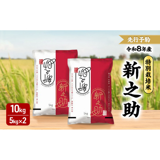 先行予約 令和8年 新潟県産新之助 特別栽培米 10kg 10キロ （5kg×2袋） 上越市 三和区神田 富永農産 有機肥料 自家製たい肥