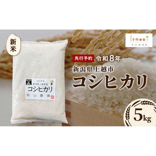 先行予約 令和8年 新米 新潟県上越市産 コシヒカリ 5kg 5キロ お米 コメ こしひかり 秋山農場グリーンプロジェクト