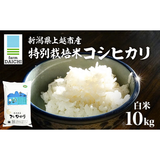 令和7年 新潟県上越市産 特別栽培米 コシヒカリ 10kg (5kg×2袋)お米 コメ こしひかり ふぁーむ大地