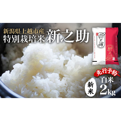 先行予約 令和8年 新米 新潟県上越市産 特別栽培米 新之助 2kg 2キロ お米 コメ ふぁーむ大地