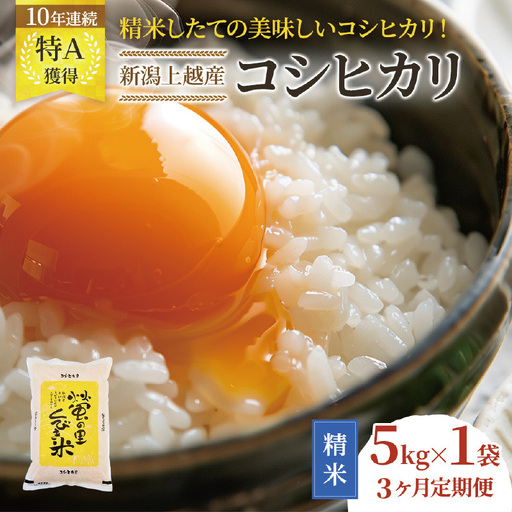 [精米したて!] 令和8年産 新潟県上越市産 コシヒカリ 定期便 5kg×3回 15kg 新米 先行予約 蛍の里