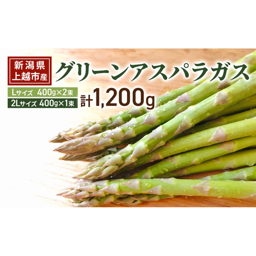 グリーン アスパラガス Lサイズ 400g×2束 |2Lサイズ 400g×1束 計1.2kg 令和8年産 国産 産地直送 冷蔵配送 新潟県上越市産 横山農園