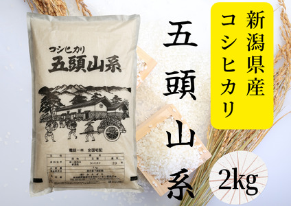 yߘa7NYVāzuĉ̂舢sYvRVqJ 2kg 9{菇 1E17008