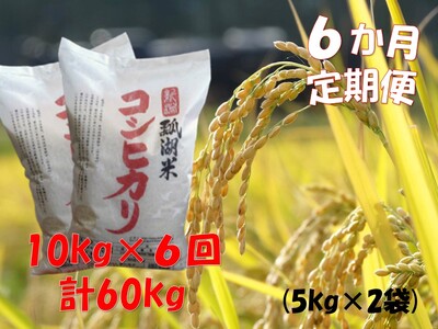 yߘa7NYVāzy6ցzVY RVqJuZΕāv 10kg×6 1N12201