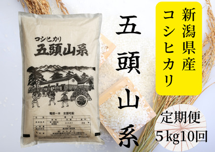 [10回定期便]「米屋のこだわり阿賀野市産」コシヒカリ5kg×10回 1E23086