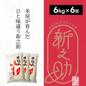 yߘa7NYVāz 6 ʍ͔| VV 6kg (2kg×3)×6 ēm 됬   嗱   e F 1H24133