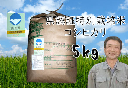 [令和6年産新米][3か月定期便]特別栽培米 コシヒカリ 5kg×3回 新潟県認証 1G14031