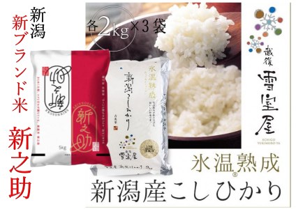 【令和7年産新米予約】阿賀野市産「新之助＆雪室米」ぜいたく食べ比べ 各6kg 11月上旬より順次発送予定 1J12073