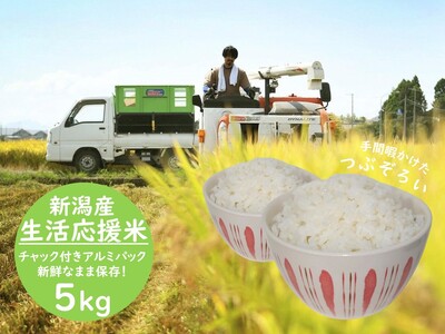 生活応援米 つぶぞろい 5kg 3D01007