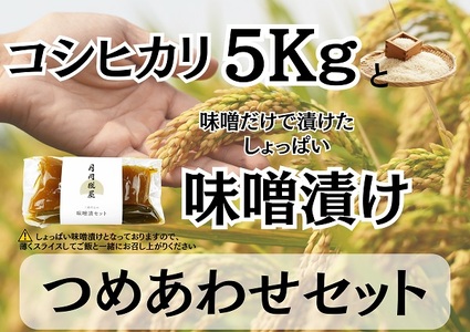 [新米]糀屋こだわり自家栽培 コシヒカリ5kg&味噌漬け200g 詰め合わせセット 月岡糀屋 完全自家製味噌だけで漬けたしょっぱい味噌漬け 甘くない 漬物 国産大豆 国産塩 自家製米糀 こうじ 生味噌 みそ ミソ 味噌汁 非加熱熟成 辛口 田舎 3B13013