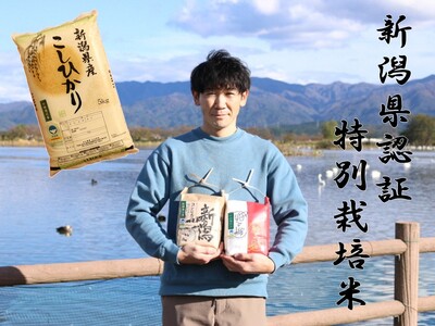 [令和6年産新米予約][新潟県認証米] 5kg 特別栽培米 従来コシヒカリ 阿賀野市産 丸山農園 10月中旬より順次発送予定 3F01010