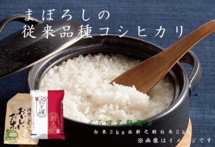 [5回定期便]旧笹神村産コシヒカリ 2kg&新之助 2kg(美味しいお米食べ比べセット)阿賀野市 上泉 農家直送 コメドック 金賞 1Q10045