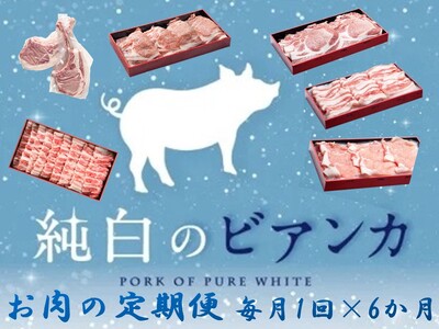 [6か月定期便]純白のビアンカコース 毎月違うお肉をお届け 計4kg超 豚バラ 豚ロース 骨付き ポークステーキ しゃぶしゃぶ 焼肉 1D22047
