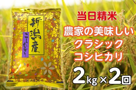 [令和6年産新米][2ヶ月定期便] 当日精米! 農家直送 美味しい クラシックコシヒカリ 2kg×2回 計4kg 精米 白米 1F20012