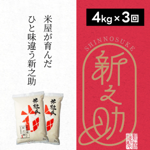 [新米]3ヶ月定期便 特別栽培米 新之助 4kg (2kg×2袋)×3回 米杜氏 壱成 白米 精米 大粒 つや 光沢 弾力 芳醇 1H42031