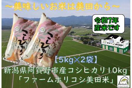 yߘa7NYVė\zsY RVqJ ut@[zRVcāv 10kgi5kg×2܁j   10{菇\ 3H04027
