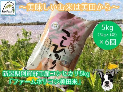 yߘa7NYVāzy6ցzsY RVqJ ut@[zRVcāv 5kg×6    3H07079