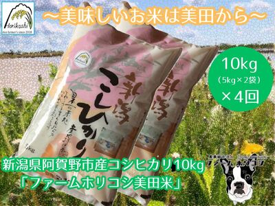 yߘa7NYVāzy4ցzsY RVqJ ut@[zRVcāv 10kgi5kg×2܁j×4    3H09105