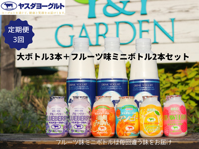 [3ヶ月定期便]ヤスダヨーグルト ちょい足しフルーツセレクションセットお試し便 大ボトル800g×3本+小ボトル150g2本 無添加 搾りたて こだわり生乳 濃厚 飲むヨーグルト のむよーぐると ヨーグルト 1B86019