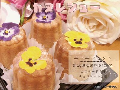 サントピアワールド の カヌレシュー4個セット(カスタード2個・チョコレート2個)遊園地 新潟県産米粉100%使用 カヌレ シュークリーム グルテンフリー 冷凍 スイーツ デザート 新潟県 阿賀野市 2S06007
