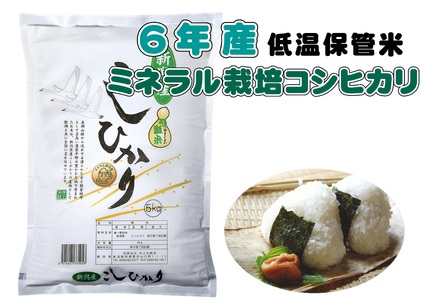 [数量限定]令和6年産 ミネラル栽培こしひかり 5kg 白米 精米 井上米穀店 1I25013