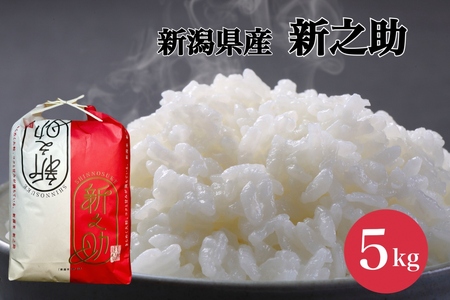 [令和7年産新米]新之助 5kg (5kg×1袋) 塩田農園 新潟県 阿賀野市 米 白米 精米 コク 甘味 旨味 3O01021