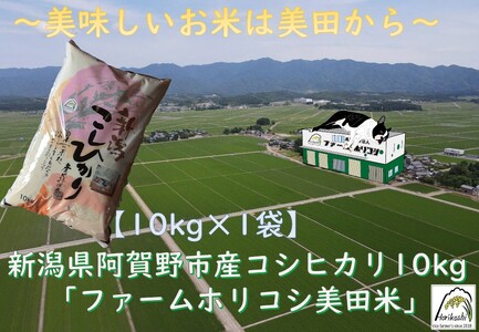 yߘa7NYVāzsY RVqJ ut@[zRVcāv 10kgi10kg×1܁j    3H13027