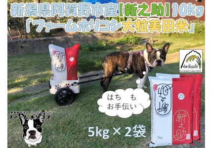 yߘa7NYVāzsYVVut@[zRV VVv10kgi5kg×2܁j   3H15029