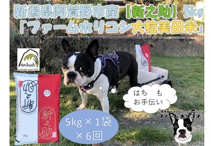 yߘa7NYVāzy6ցzsY VVut@[zRV VVv 5kg×6    3H18085