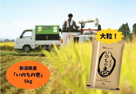[令和7年産]新潟県阿賀野市産 いのちの壱 5kg 3D12023