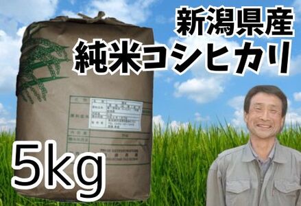 [令和7年産]新潟県産 純米コシヒカリ 5kg さいとう農園 白米 精米 米 こめ ごはん コシヒカリ こしひかり 1G17016
