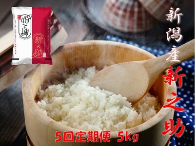 【令和7年産】【5回定期便】阿賀野市産「新之助」5kg（5kg×1袋） 安田興和農事 白米 精米 新潟県 米 こめ コメ 1W11076