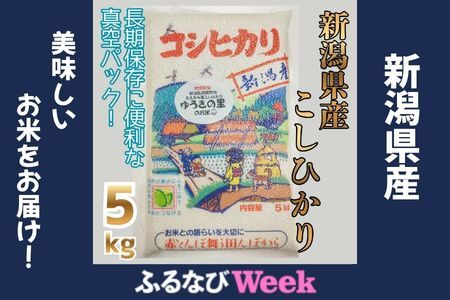 [令和7年産]阿賀野市 ささかみ産 こしひかり 「ゆうきの里のお米」真空パック 5kg 新潟コンバイン 白米 精米 新潟県 コシヒカリ コシ 米 お米 ごはん ご飯 長期保存 保存食 3P06015 FN-Limited-WE