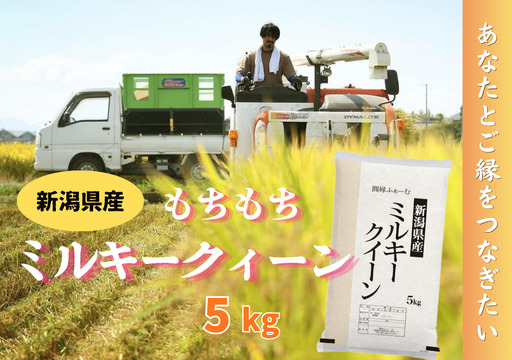 新潟県阿賀野市産 ミルキークィーン 5kg 3D15015