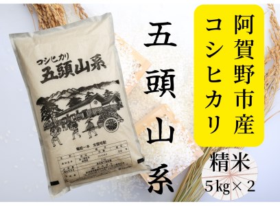 yߘa7NYVāzuĉ̂舢sYvRVqJ 10kg  9{菇 1E02035