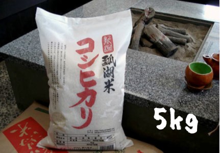 新潟産コシヒカ「瓢湖米」5kg 関口商店 1N04008