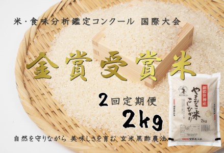 [令和7年産新米予約][2か月定期便]コシヒカリ「やまびこ米」2kg×2回 玄米黒酢農法 金賞受賞 特別栽培米 白米 精米 農家直送 10月中旬より順次発送予定 1P06015