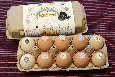 [あずさと四種の地鶏詰め合わせ]あじわいたまごセット ひよころ鶏園 卵 たまご 地鶏 赤鶏あずさ にいがた地鶏 軍鶏 名古屋コーチン 岡崎おうはん 国産 食べ比べ 平飼い 新鮮 レモンイエロー 新潟県 阿賀野市 1R01010