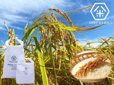 �y�ߘa7�N�Y�V�āz�y�O�b�h���C�t�A���[�h����b�܎�܁z 6��������� ������ �R�V�q�J�� 10kg×6�� �v60kg �_�ƒ��� �ق�̂�Â��u�͂��݂_�@�v ���� ���� HACHIBEI ���� 1L10217