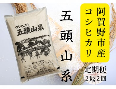 [2回定期便]「米屋のこだわり阿賀野市産」コシヒカリ2kg×2回 1E04010