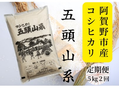 yߘa7NYVāzy2ցzuĉ̂舢sYvRVqJ 5kg×2 1E05035