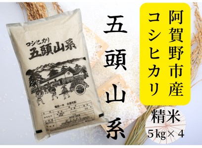 yߘa7NYVāzuĉ̂舢sYvRVqJ ǁ[ 20kg I (5kg×4) 9{菇 1E03068