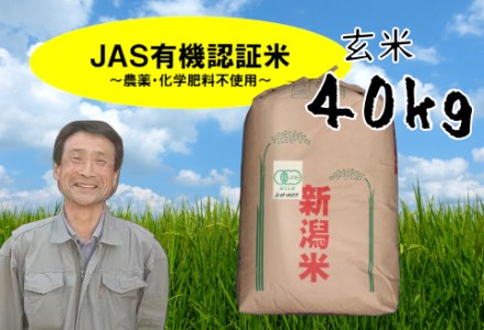 [令和6年産新米]JAS有機認証米 コシヒカリ 玄米 40kg (10kg×4袋) 精米も可 1G10101