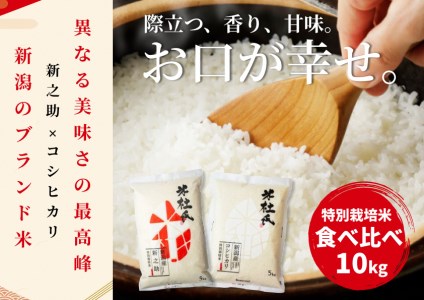 米杜氏 特別栽培コシヒカリ&新之助 食べ比べ 10kgセット (各5kg) 1H10018