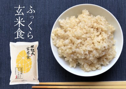米杜氏 特別栽培米 ふっくら玄米食 2kg 1H11005