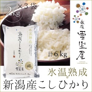 【令和7年産新米予約】阿賀野産コシヒカリ「雪室米」6kg（雪室氷温熟成）10月上旬より順次発送予定 1J09038