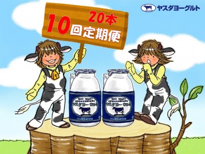 【10か月定期便】ヤスダヨーグルト 150g×20本×10回 小ボトル こだわり生乳 新鮮 濃厚 1B10090