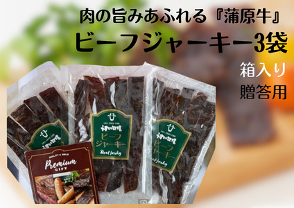 肉の旨みあふれる 蒲原牛 ビーフジャーキー(贈答用) モモ肉 秘伝 醤油ダレ つまみ おつまみ 晩酌 1T03015